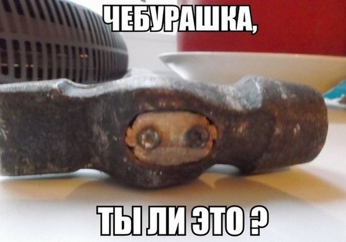 Забавные картинки