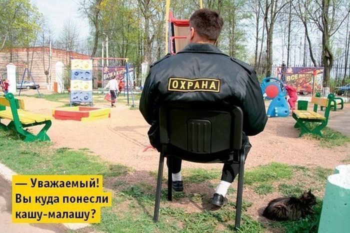 Забавные картинки