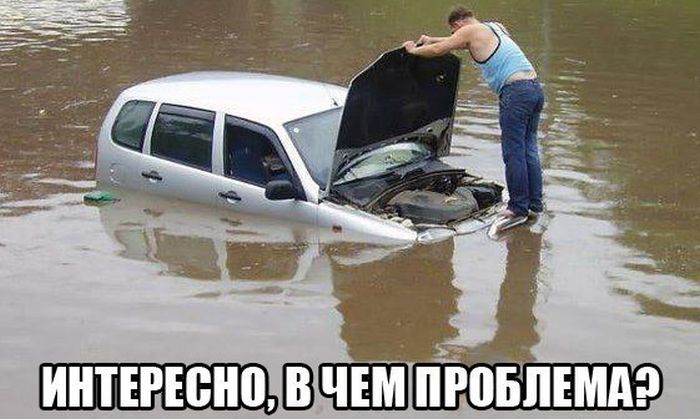 Забавные картинки