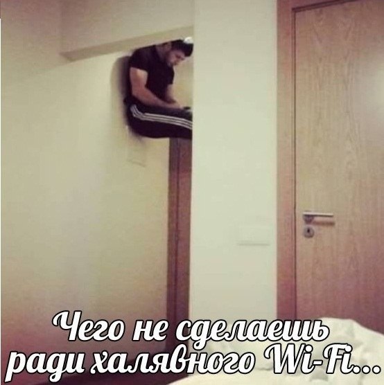 Забавные картинки