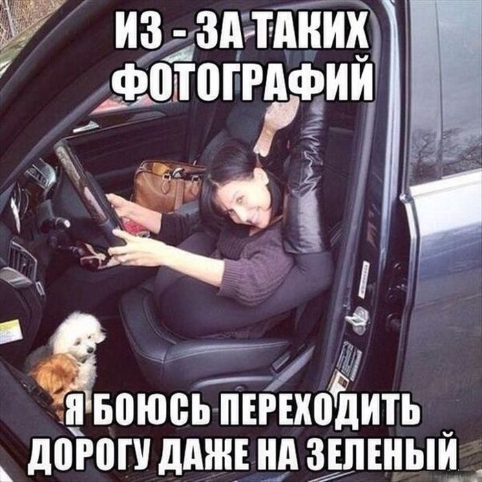 Забавные картинки