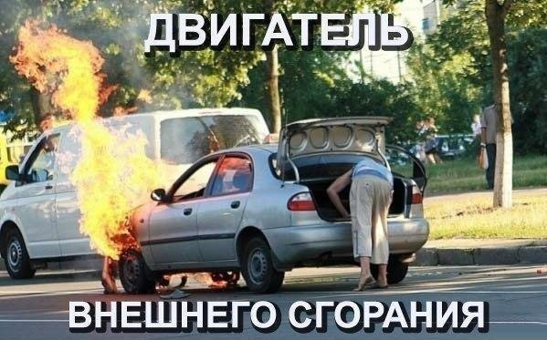 Забавные картинки