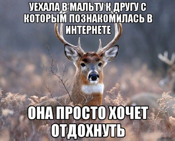 Прикольные картинки (80 фото)