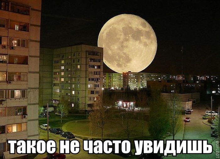 Прикольные картинки (80 фото)
