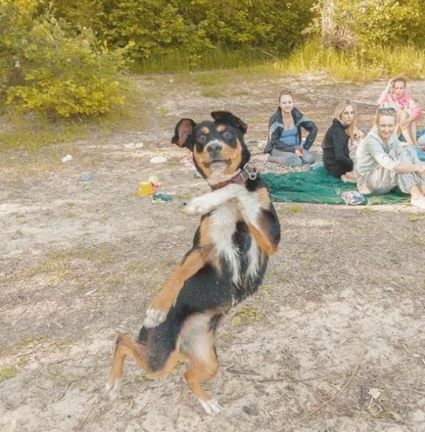 Прикольные картинки (80 фото)