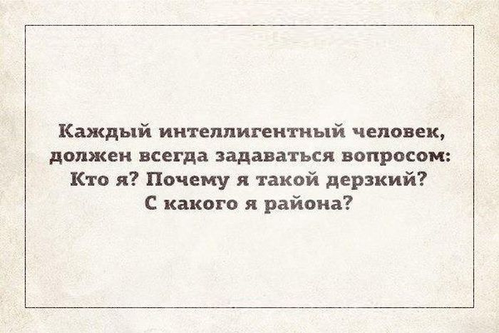 Прикольные картинки (80 фото)