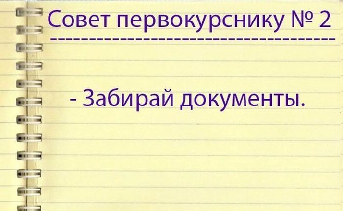 Прикольные картинки (80 фото)