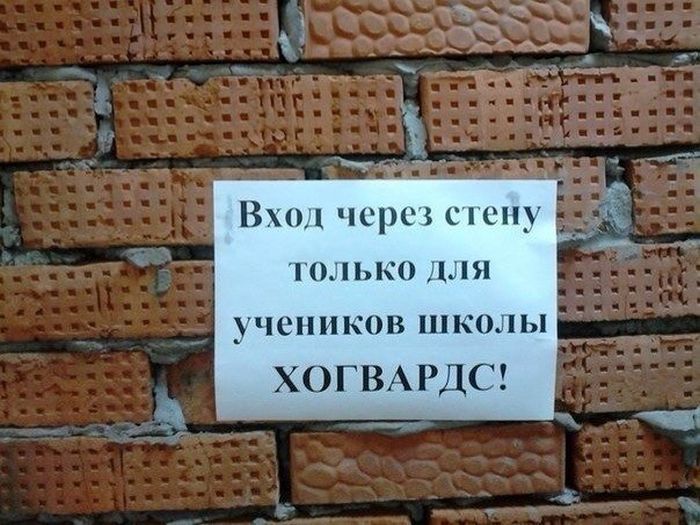 Прикольные картинки (80 фото)