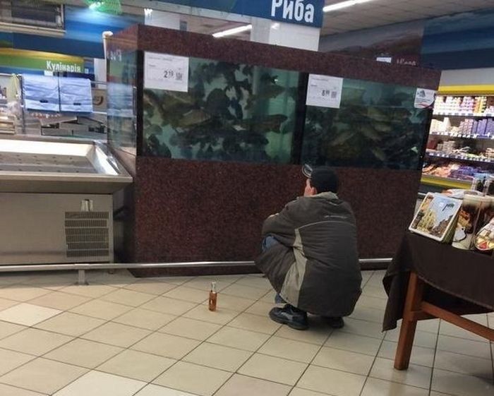 Прикольные картинки (80 фото)