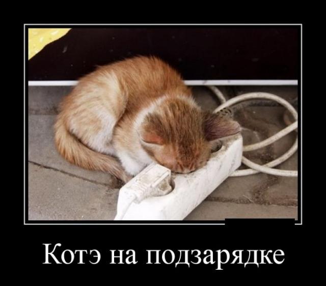 Демотиваторы (30 фото)