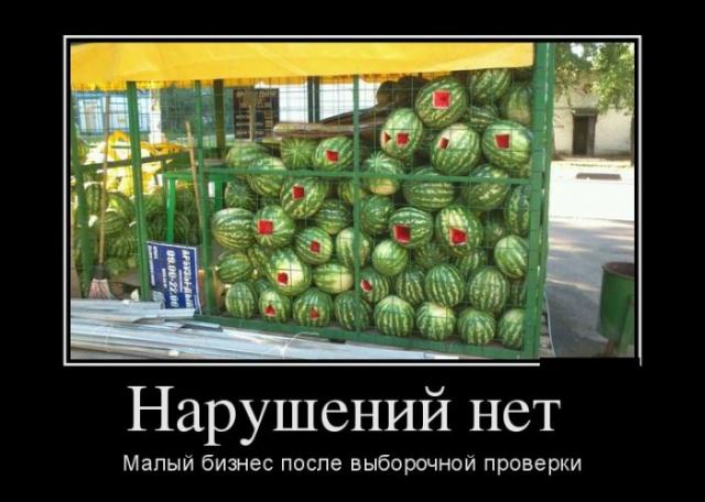 Демотиваторы (30 фото)