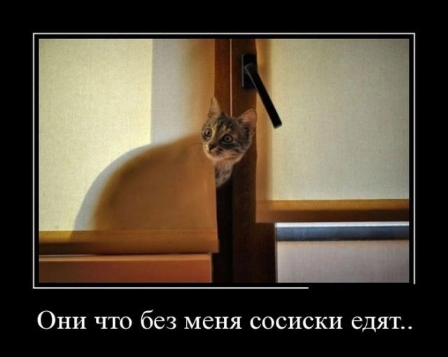 Демотиваторы (30 фото)