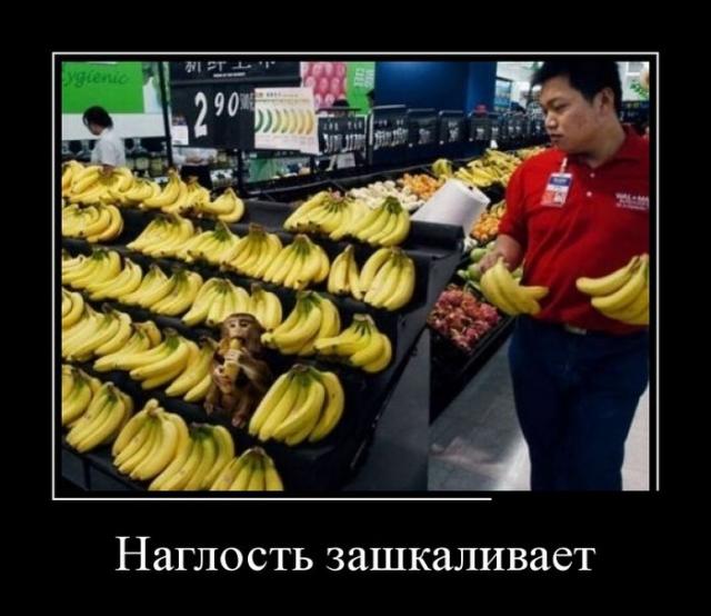 Демотиваторы (30 фото)