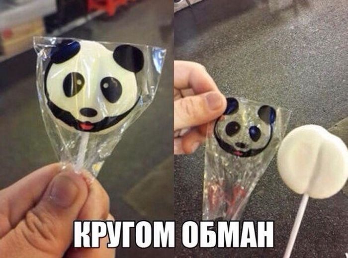 Забавные картинки