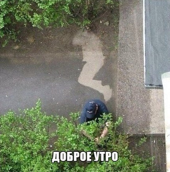 Прикольные картинки (72 фото)