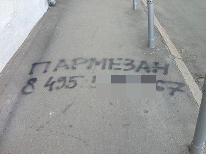 Прикольные картинки (72 фото)