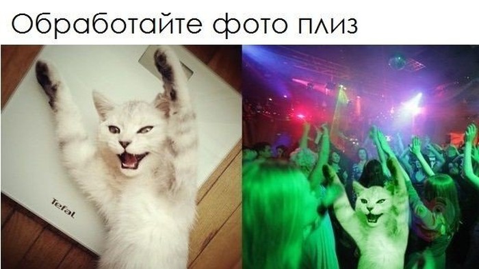 Забавные картинки