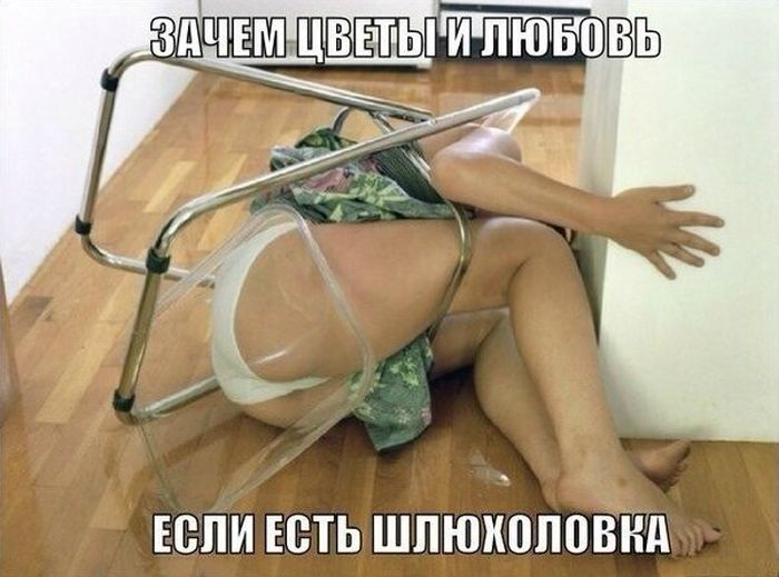 Прикольные картинки (85 фото)