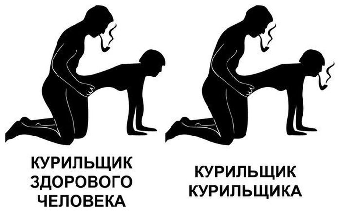 Прикольные картинки (85 фото)