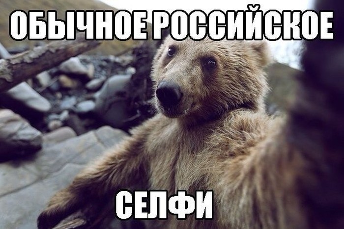 Прикольные картинки (85 фото)