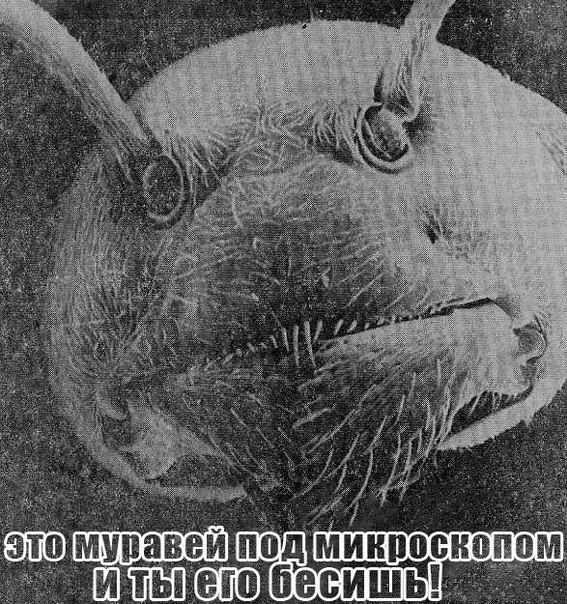 Прикольные картинки (85 фото)