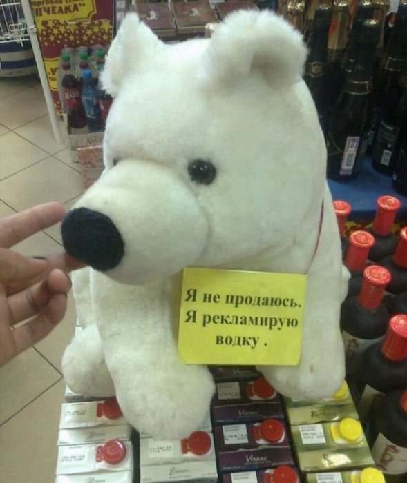 Забавные картинки