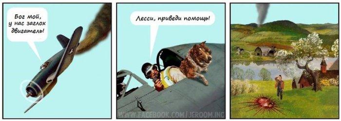 Забавные картинки