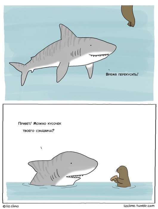 Забавные картинки