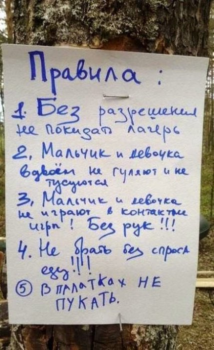 Прикольные картинки (61 фото)