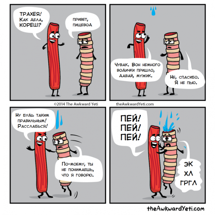 Забавные картинки