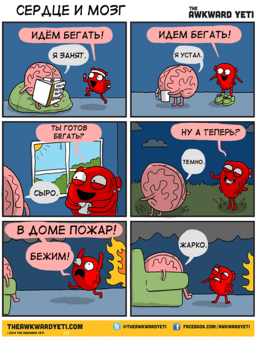 Забавные картинки