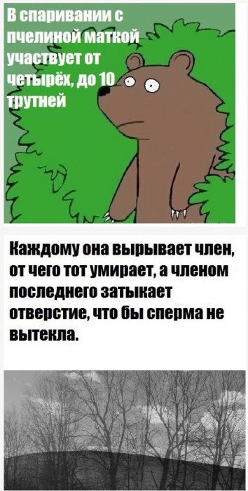 Прикольные картинки (80 фото)