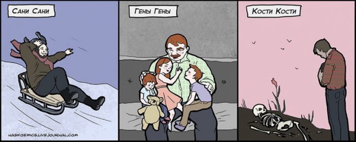Забавные картинки