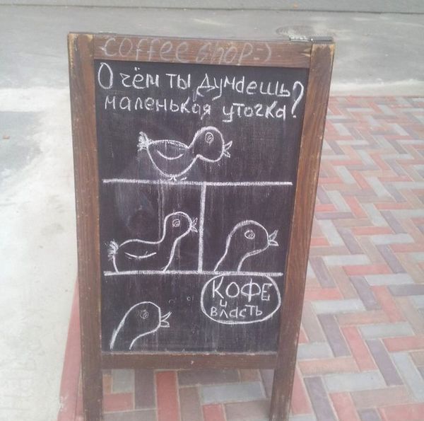 Прикольные картинки (81 фото)