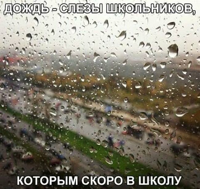 Прикольные картинки (81 фото)