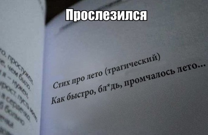 Прикольные картинки (81 фото)