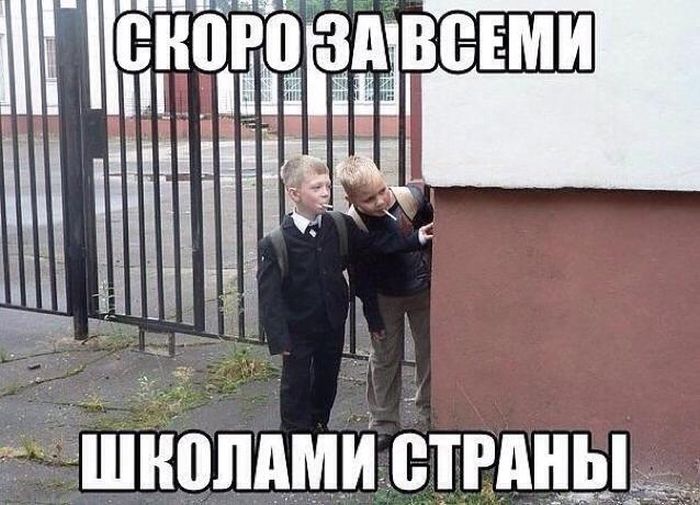 Прикольные картинки (81 фото)