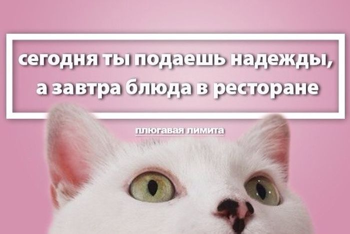 Прикольные картинки (73 фото)