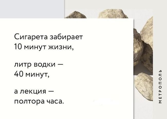Прикольные картинки (73 фото)