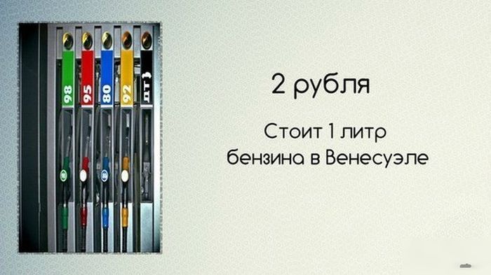 Прикольные картинки (73 фото)