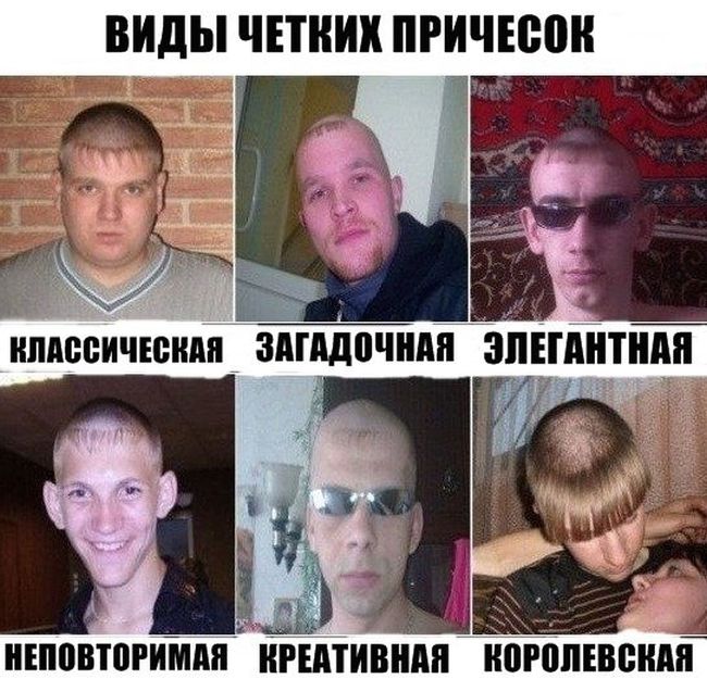Прикольные картинки (81 фото)