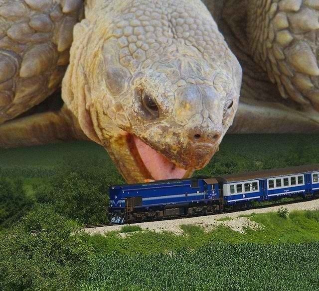 Прикольные картинки (86 фото)
