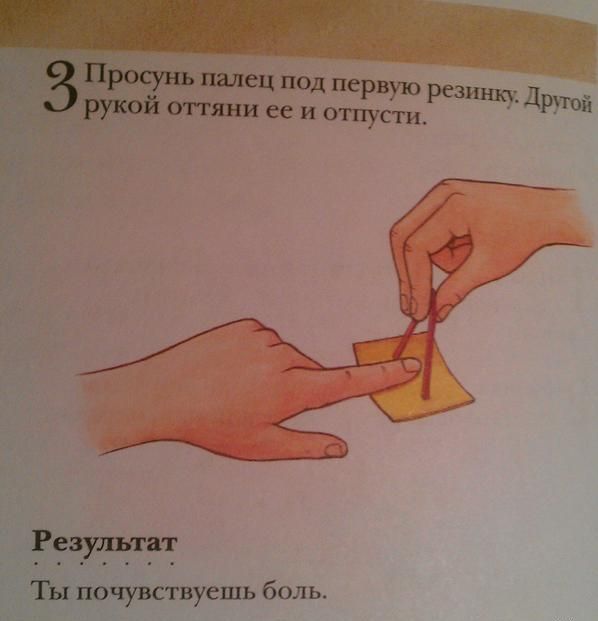 Прикольные картинки (80 фото)