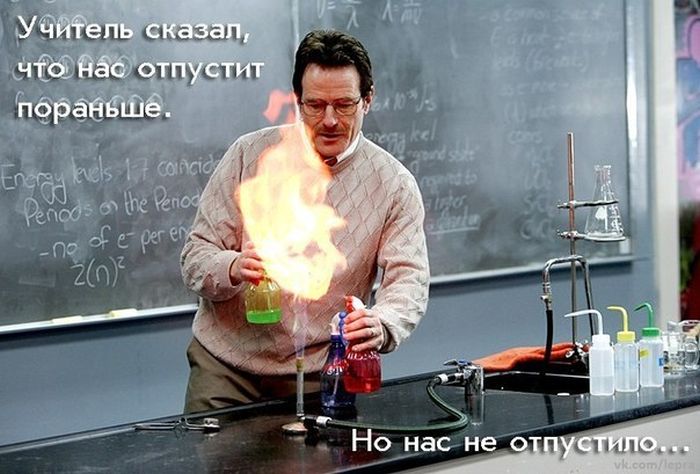 Прикольные картинки (80 фото)