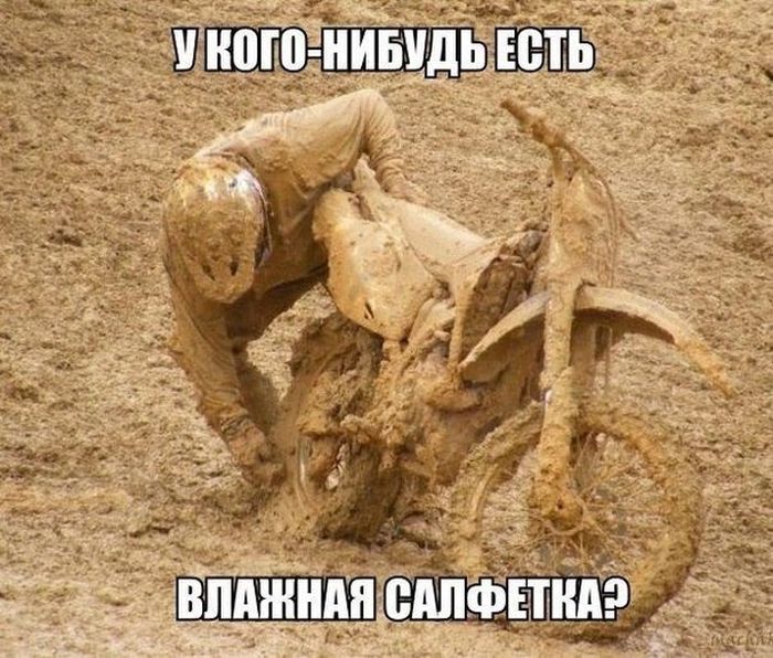 Прикольные картинки (80 фото)