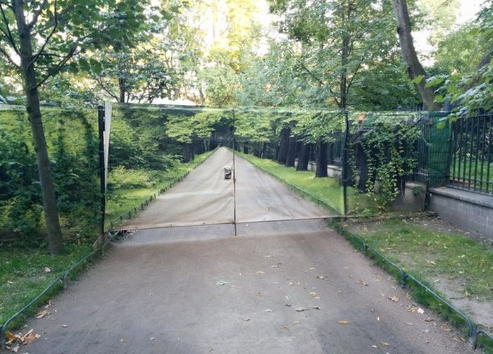 Прикольные картинки (80 фото)