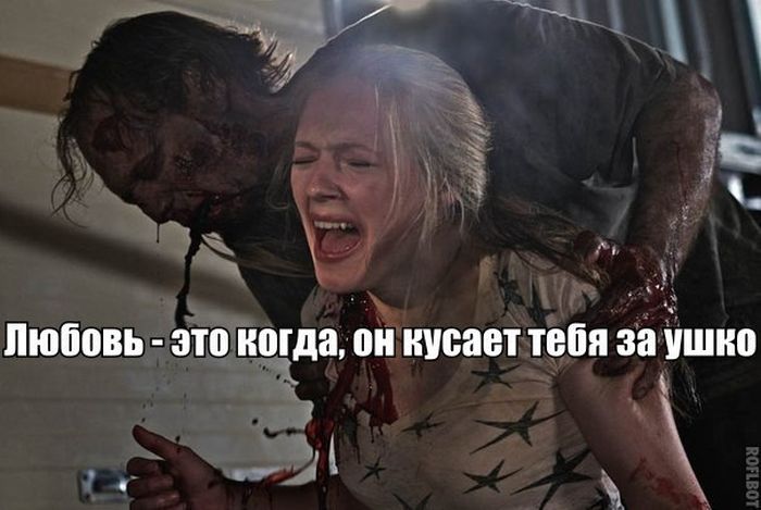 Прикольные картинки (80 фото)