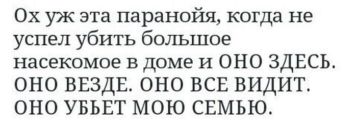 Прикольные картинки (80 фото)