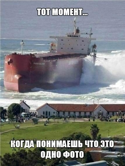 Прикольные картинки (80 фото)