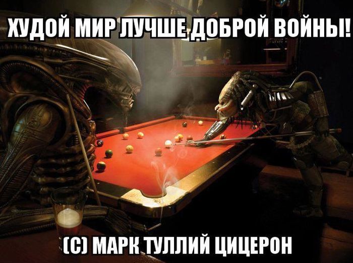 Прикольные картинки (80 фото)